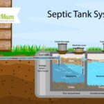 Impact of Soaps on Septic Systems: Understanding the Long-term Effects