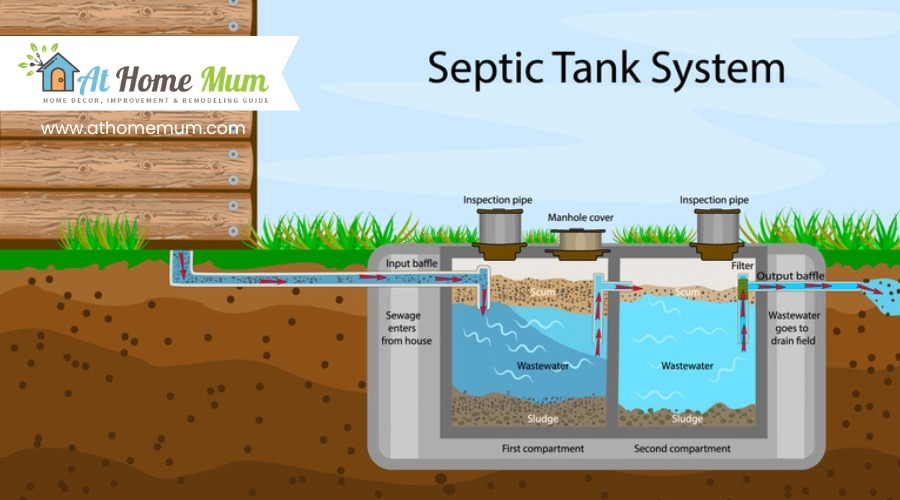 Impact of Soaps on Septic Systems: Understanding the Long-term Effects